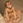 Jill Kock Sand